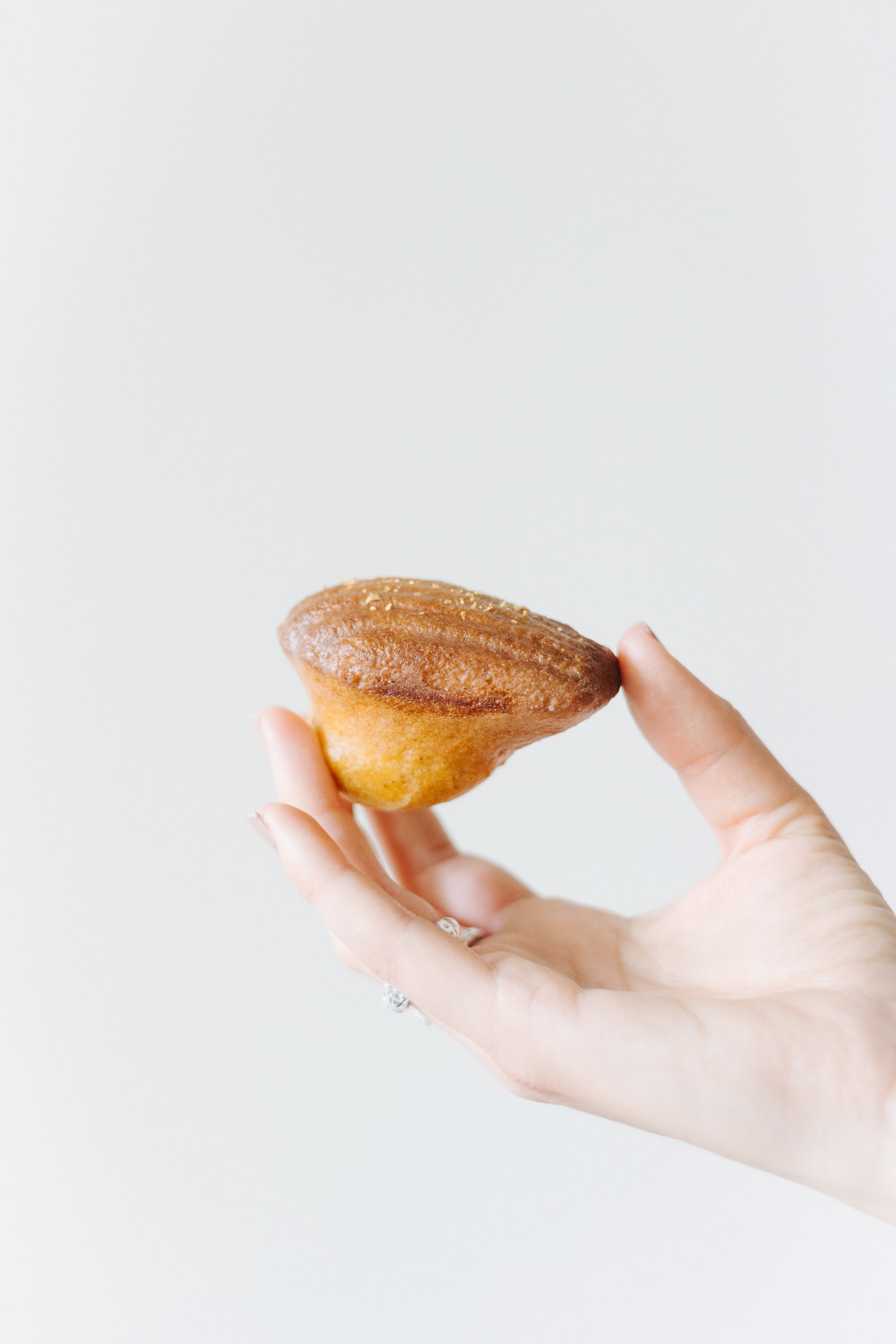 Madeleines | Madeleine de Proust